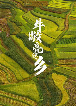 牛敞亮还乡免费观看